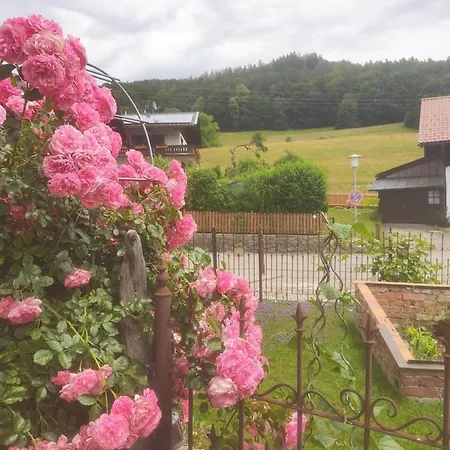 Apartmán Speckhaus